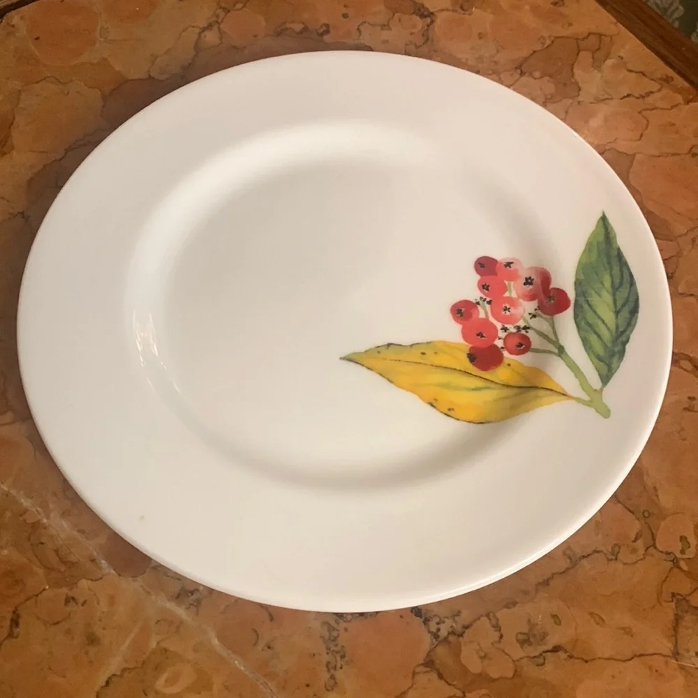 Crate & Barrel Mary Woodin Winter Berries Appetizer plate